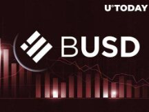 币安发行的BUSD市值在交易所周围的FUD中下跌45%