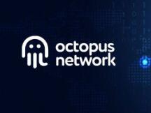 专访章鱼网络：应用链巨头的崛起之路