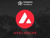 A profound revelation of the uncertainty of the development of the Avalanche