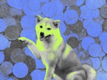 错过了Doge和Shib？你需要重新吃透meme经济