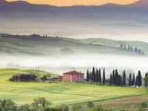 比特币诱空后V型反转，加密货币市场全面反弹