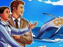 机构和矿工在比特币下跌期间纷纷抄底，巨鲸动作未明