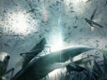 比特币矿业三体问题：野蛮生长10年的矿业「黑暗森林法则」