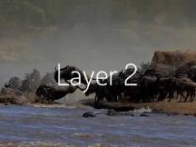 Layer 2方案——DeFi可能不会从以太坊上迁徙出去了