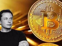 特斯拉CEO马斯克Twitter账号简介变成了“bitcoin”