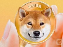 为何说柴犬币超越狗狗币会对比特币不利？