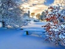 比特币走势平淡，个别板块引领反弹