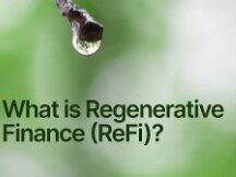 融合环境与金融的可持续之路：ReFi能重塑Web3吗？