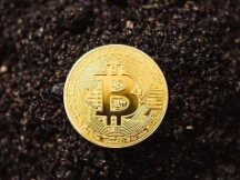 马斯克称只持有三种加密货币 解释为何支持狗狗币