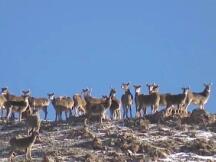 现在哪个DeFi代币价值低估？为什么说共识的力量会很强大？