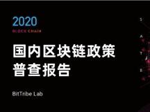 2020国内区块链政策普查报告