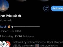 马斯克站台比特币 狗狗币暴涨1000% 币圈沸腾了