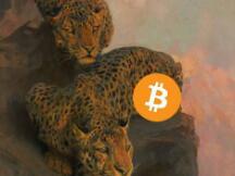 行情分析：投资是修行，操作是执行，缺一不可