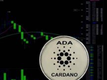 Cardano 网络上的质押者数量在上周增加了 60.29%