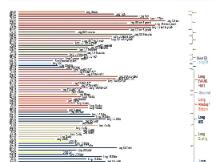 美国银行调查报告：继科技股后，比特币成为市场交易热点
