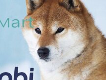 BitMart Pledges To Make $ 200 Million In Losses From Hacking! Support from the Huobi and Shiba Inu community