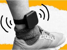 被软禁的 Crypto Queen 顾问在​​面对美国司法之前失踪