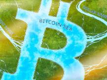 尽管比特币市值达到1万亿美元，但长线投资者仍继续持有