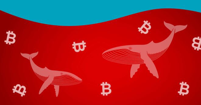 加密货币市场崩盘：山寨币暴跌，因为加密鲸鱼减持资产