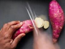 YAM实验失败，DeFi代币纷纷出现暴跌