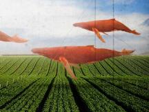 为什么说YAM是一个多了些花样的 "中本聪方案"？