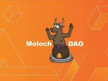 热门区块链治理项目 Moloch DAO 究竟是什么？