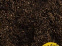 解读Token经济学的四大支柱与VE Token模型