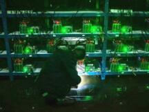 矿场主带你了解园区电的方方面面