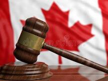 加拿大法院批评某些ICO组织者藐视法庭