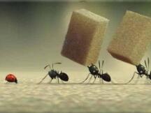 蚂蚁S1双刀片矿机使用教程