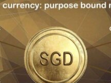 新加坡金管局MAS：目的绑定货币（PBM）技术白皮书