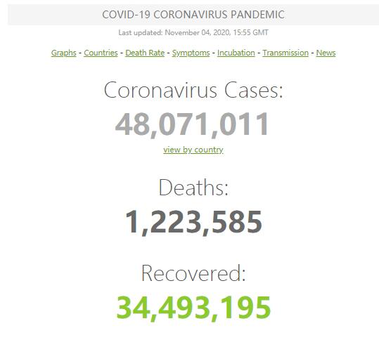 全球新冠肺炎确诊病例超4800万例