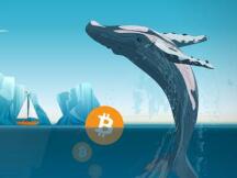 这些指标可能暗示了比特币“巨鲸”对未来市场的判断