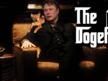 狗狗币创办人遴选新任DOGE CEO！马斯克带柴犬Floki：选我们！
