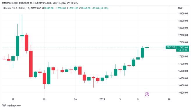 比特币触及1.75万美元，因“难以置信”的交易员怀疑加密货币反弹