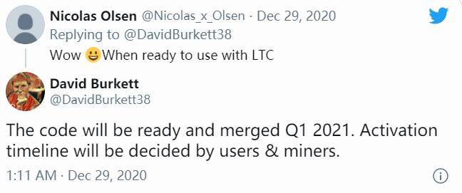 Grin开发者：莱特币MimbleWimble协议代码将于2021年第一季度完成