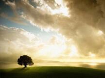 传统机构“明星投资人”进军比特币，比特币ETF引关注