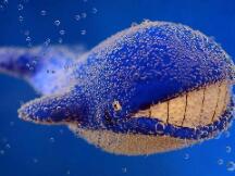 这次暴跌完全是“鲸鱼”作祟？此人已完成做空并获利2000万美元