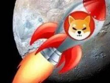 SHIB 跻身前十大加密货币，市值超越狗狗币，续刷新高！