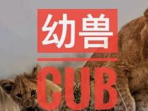 成长中的幼兽CUB，崛起中的去中心化交易所三巨头