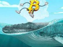 一位比特币鲸鱼在经历两次暴跌后以大约12000美元卖出