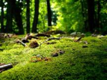 “315”到底对币圈有什么影响？晚间不确定性加大