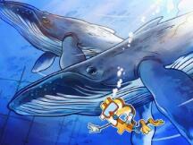 即使价格下跌，但鲸鱼未抛售，比特币未来或看涨至1.6万美元