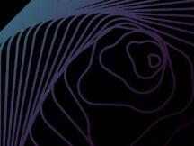 和以太坊差异化竞争的Solana，2021年会随着DeFi迎来大爆发？