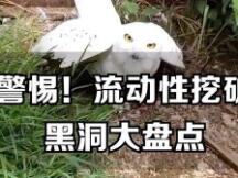 警惕DeFi，流动性挖矿黑洞大盘点