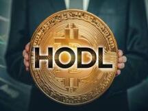 拿好手里的币！数据表明，9000美元的跌幅不会逆转比特币的上涨趋势