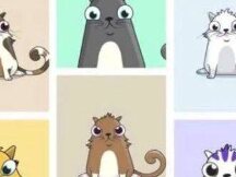 过热的NFT泡沫该何去何从，如何看待现在的NFT市场