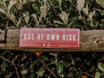 为什么NFT创建者会进入SEC“监管雷达”？