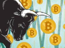 比特币破万，币圈人期待已久的牛市真的要来了吗？