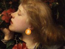 这波行情的经验与教训分析, 供诸位参考